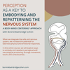 Perception as a Key to Embodying and Repatterning the Nervous System Part 1 and 2 (2023 Spring Series and The Role of the Brain)