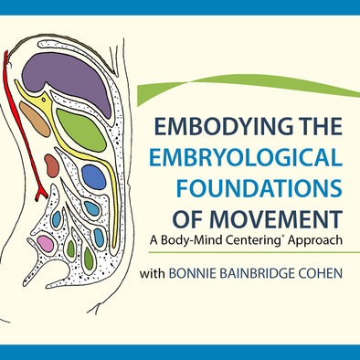 Embodying the Embryological Foundations of Movement