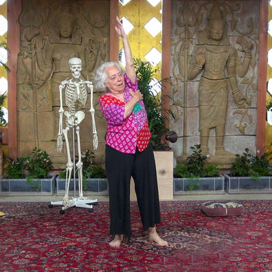 Bones create structure, muscles and nerves create movement