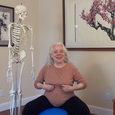 Embodiment of the Thoracic Diaphragm, Liver, and Gallbladder