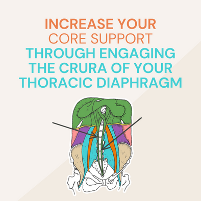 Increase Your Core Support through Engaging the Crura of Your Thoracic Diaphragm