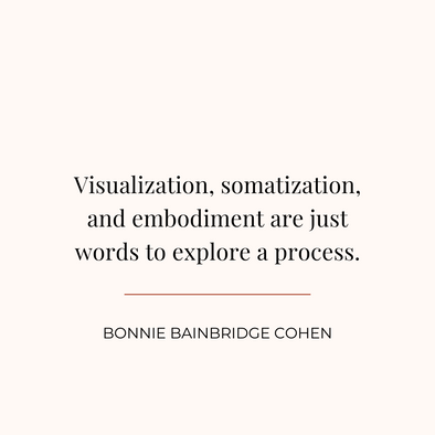 Visualization, Somatization, and Embodiment