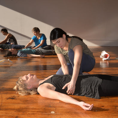 New School for Body-Mind Centering® Programs in Australia and New York City