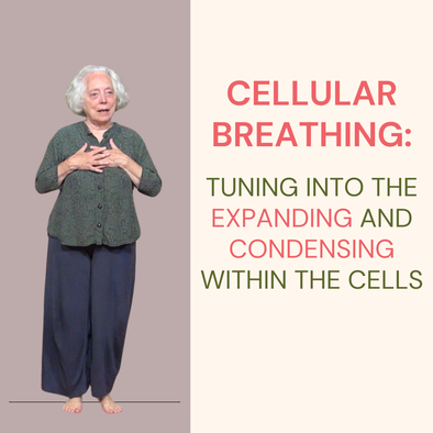 Cellular Breathing – Tuning into the Expanding and Condensing within the Cells / Self and Other