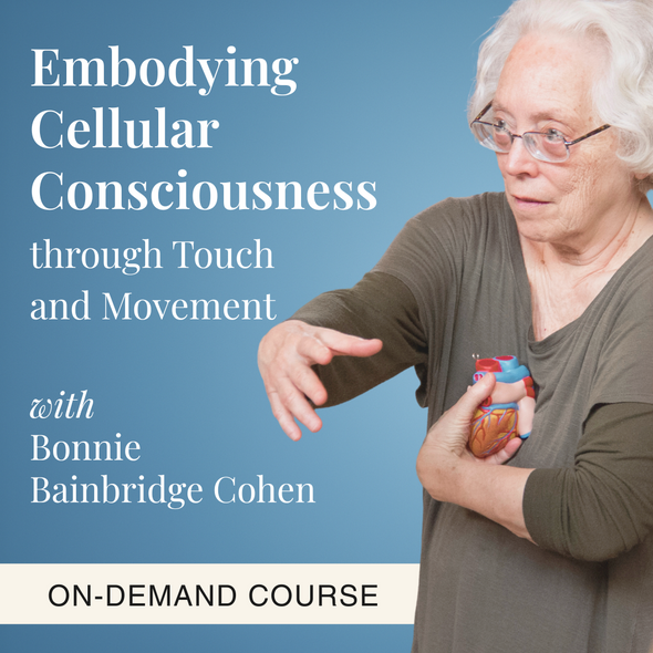 Embodying Cellular Consciousness through Touch and Movement