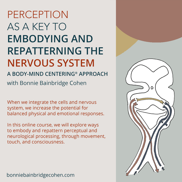 Perception as a Key to Embodying Repatterning the Nervous System Part 1 and 2 (2023 Spring Series and The Role of the Brain)