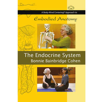 Embodied Anatomy and the Endocrine System