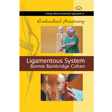 Embodied Anatomy and the Ligamentous System