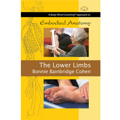 Embodied Anatomy and the Lower Limbs
