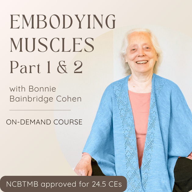Embodying Muscles Part 1 and 2 (2022 Winter and Spring Series) – Bonnie ...