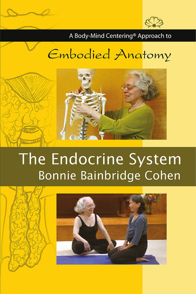 Embodied Anatomy and the Endocrine System