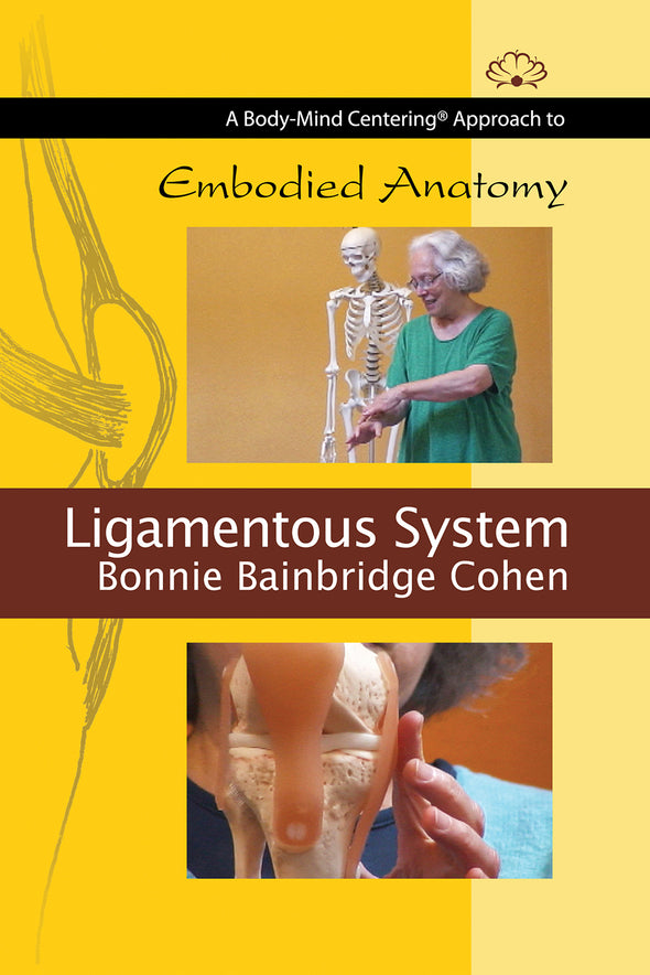 Embodied Anatomy and the Ligamentous System