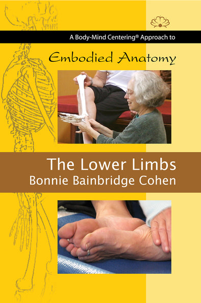 Embodied Anatomy and the Lower Limbs