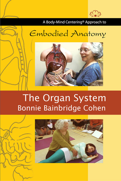 Embodied Anatomy and the Organ System
